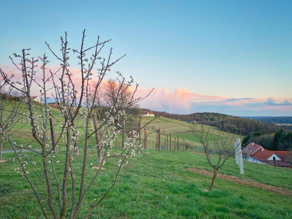 Landhaus Schaller Im Suedburgenland Maria Bild Ngoại thất bức ảnh